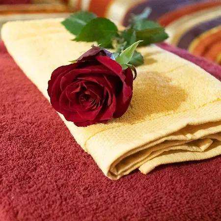 Bohemian Spacious And Loft * Bolonha