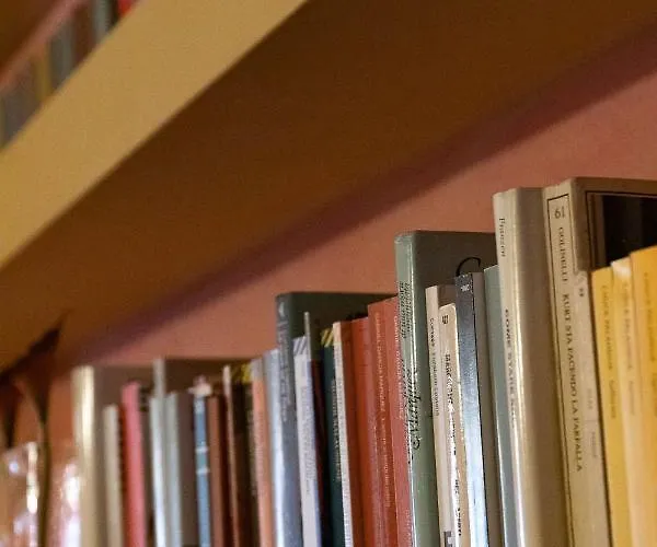 Bohemian Spacious And Loft