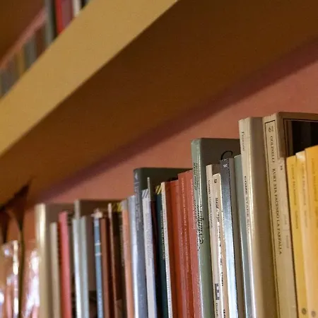 Bohemian Spacious And Loft